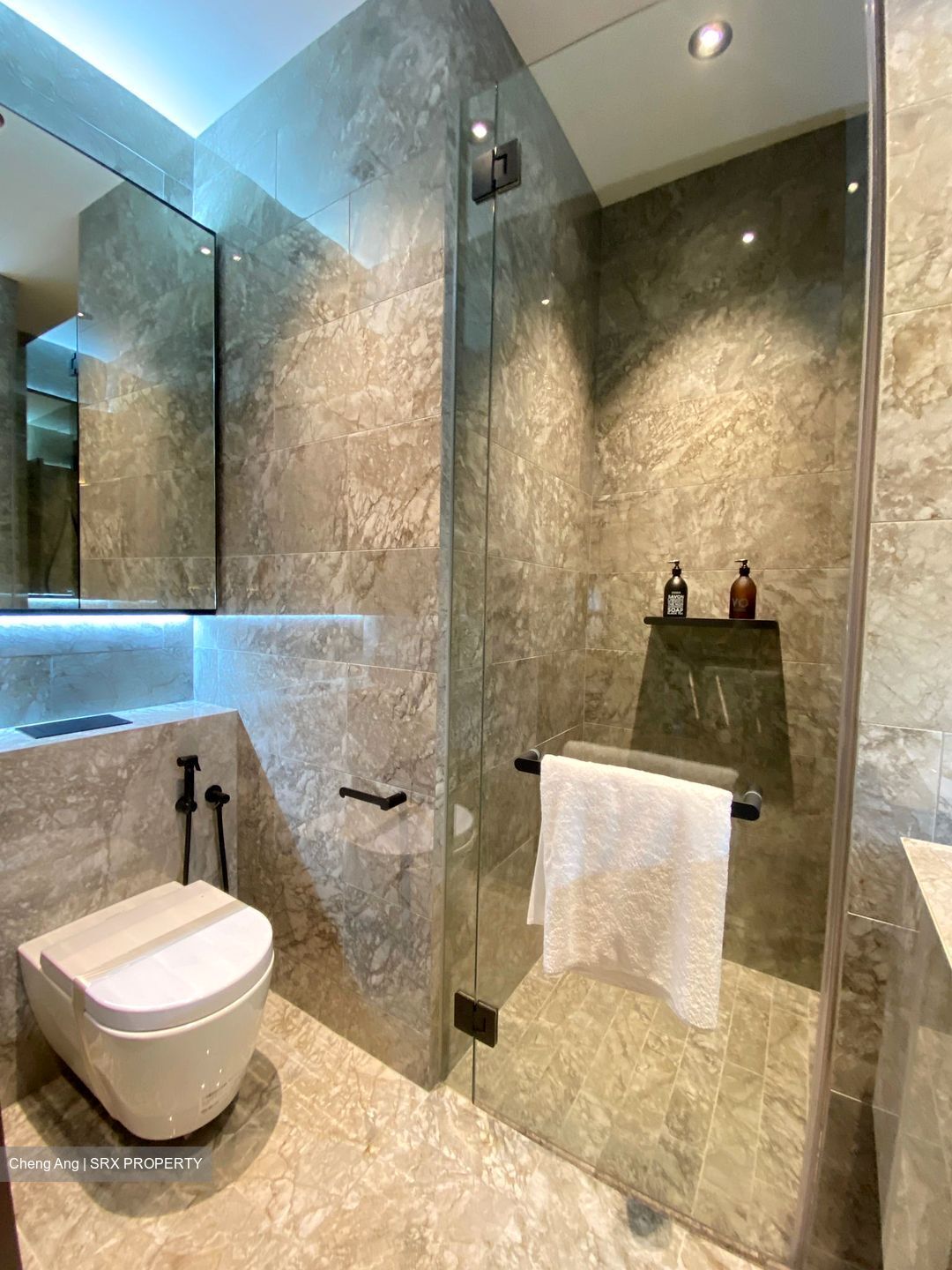 Jervois Privé (D10), Apartment #425324551
